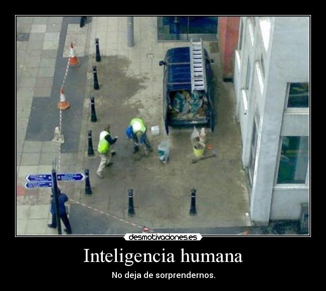 Inteligencia humana - No deja de sorprendernos.