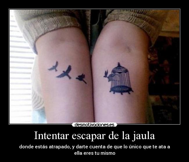carteles escapar jaula atrapado desmotivaciones