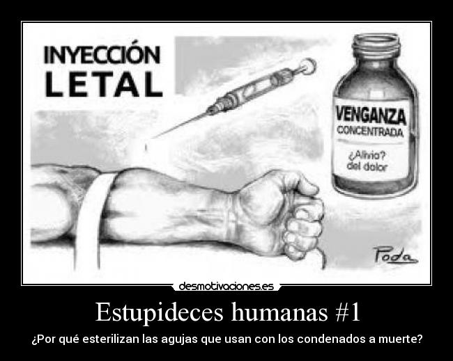 carteles preguntas tontas respuestas tiruli desmotivaciones