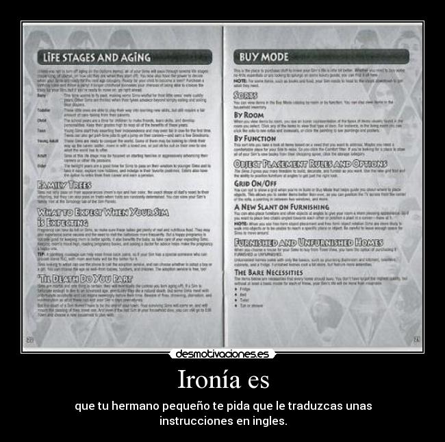 Ironía es - que tu hermano pequeño te pida que le traduzcas unas
instrucciones en ingles.