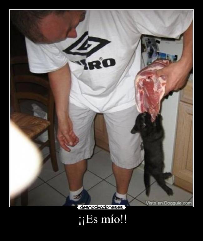 ¡¡Es mío!! - 