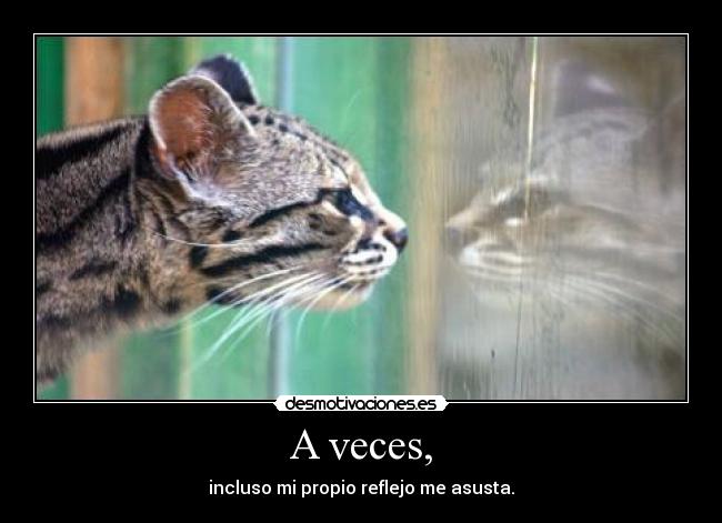 A veces, - incluso mi propio reflejo me asusta.