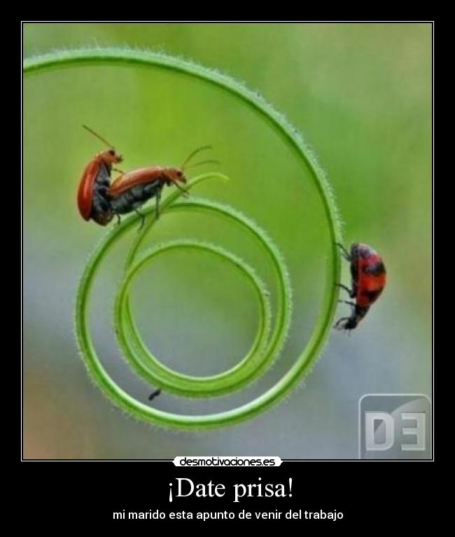 ¡Date prisa! - 