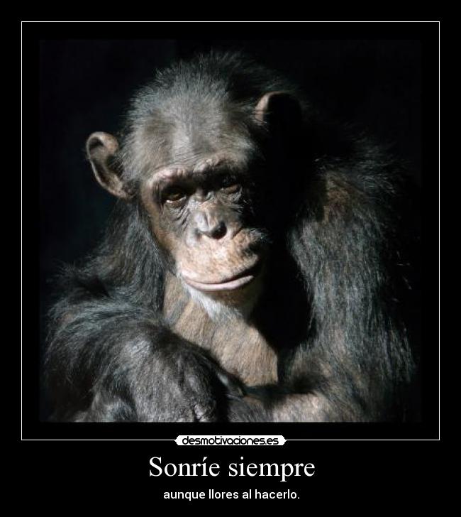 Sonríe siempre - aunque llores al hacerlo.