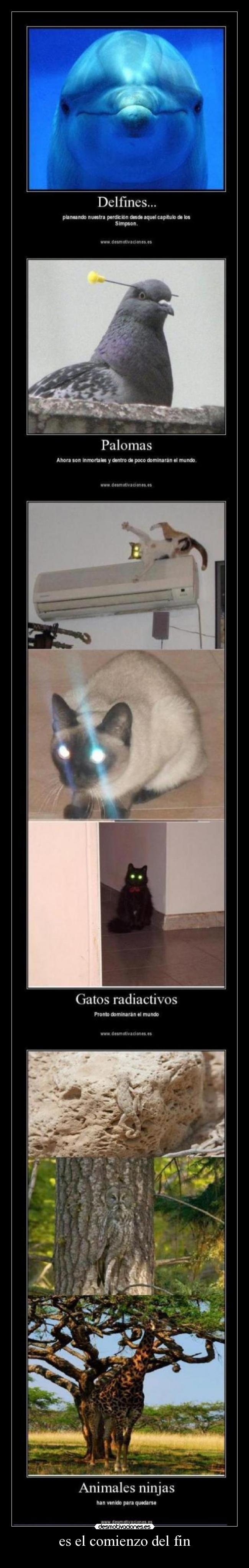 es el comienzo del fin -