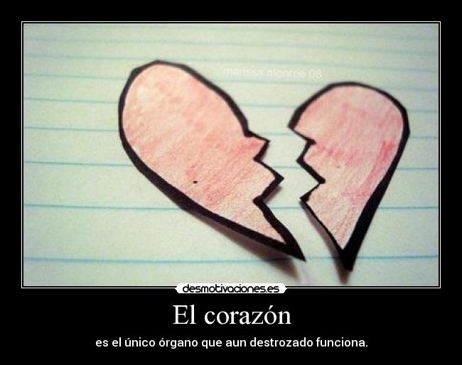 El corazón - 
