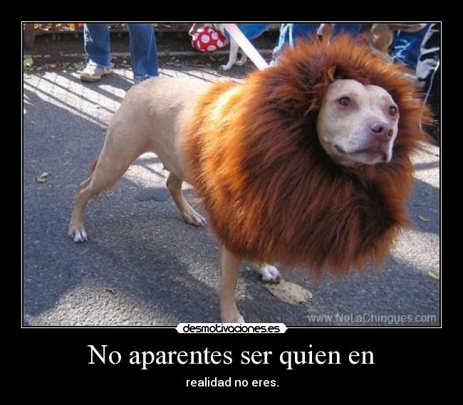 No aparentes ser quien en - realidad no eres.