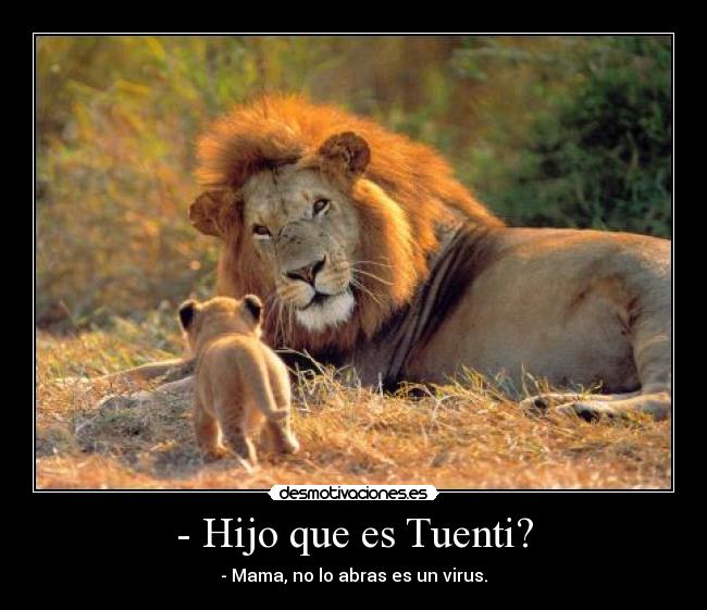 - Hijo que es Tuenti? - - Mama, no lo abras es un virus.
