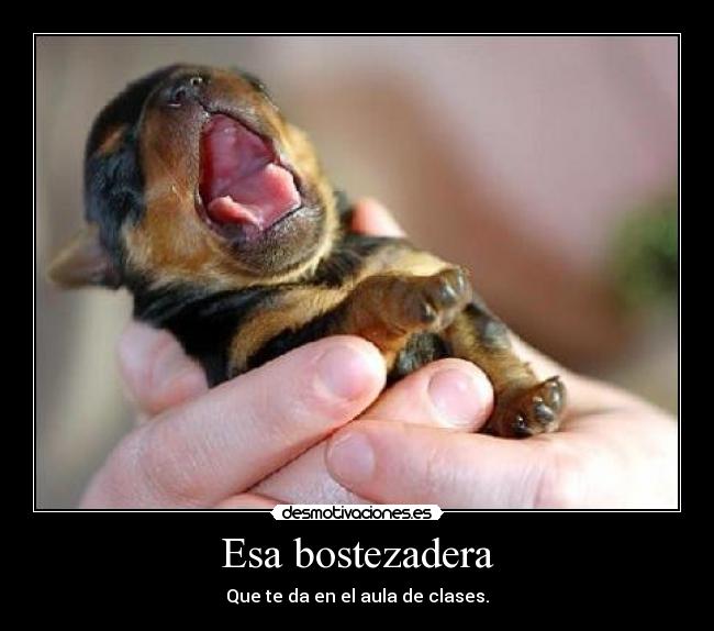 Esa bostezadera - Que te da en el aula de clases.