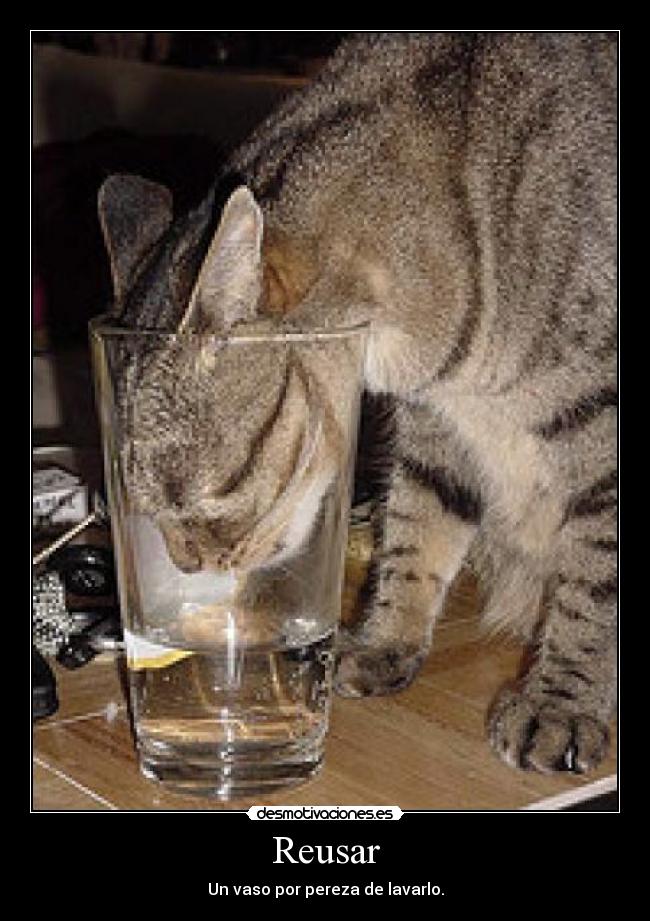 Reusar - Un vaso por pereza de lavarlo.