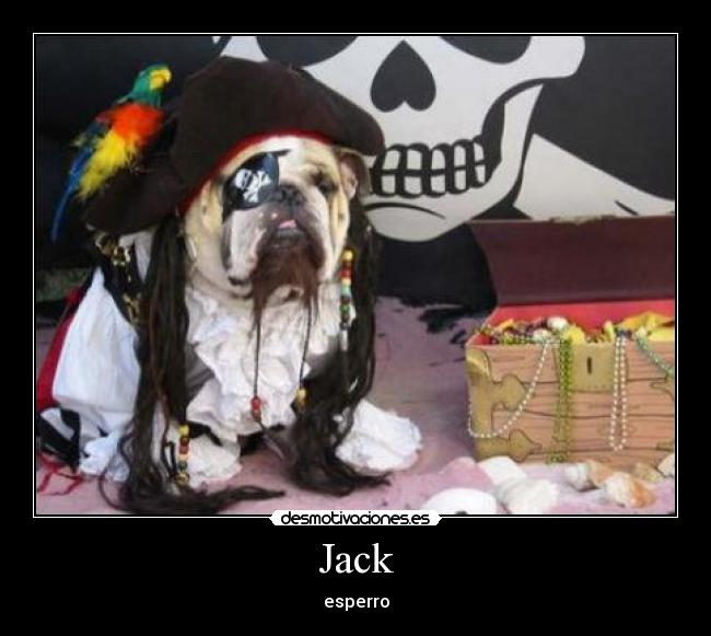 Jack - esperro
