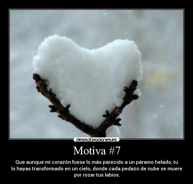 Motiva #7 -