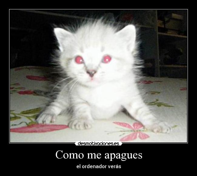 Como me apagues - el ordenador verás