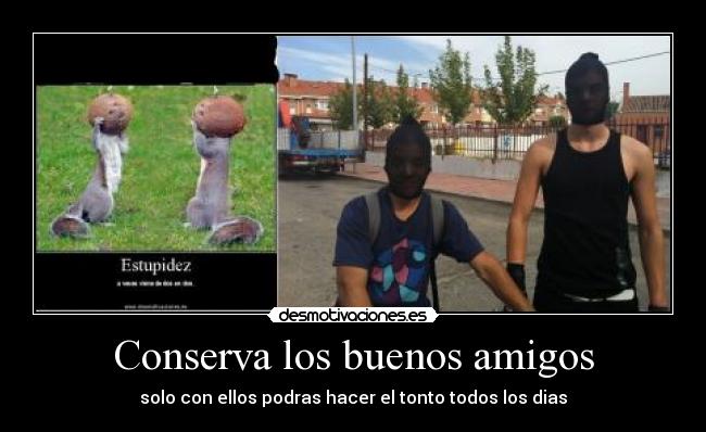 Conserva los buenos amigos -