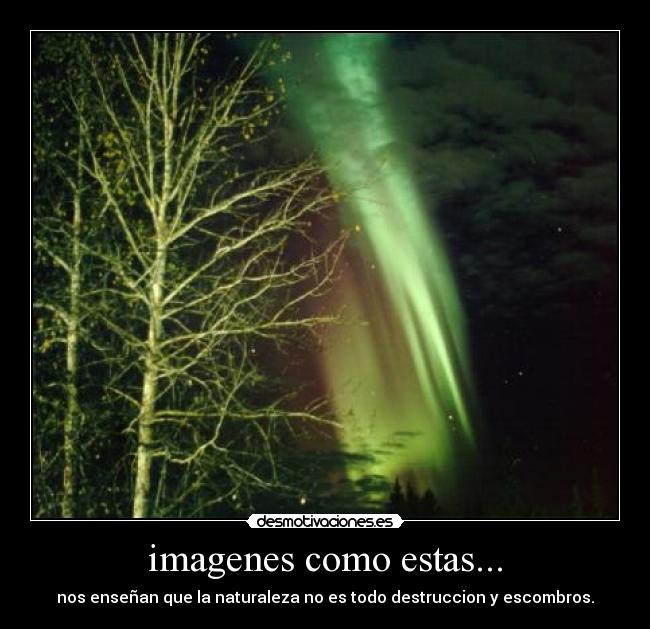 imagenes como estas... - nos enseñan que la naturaleza no es todo destruccion y escombros.