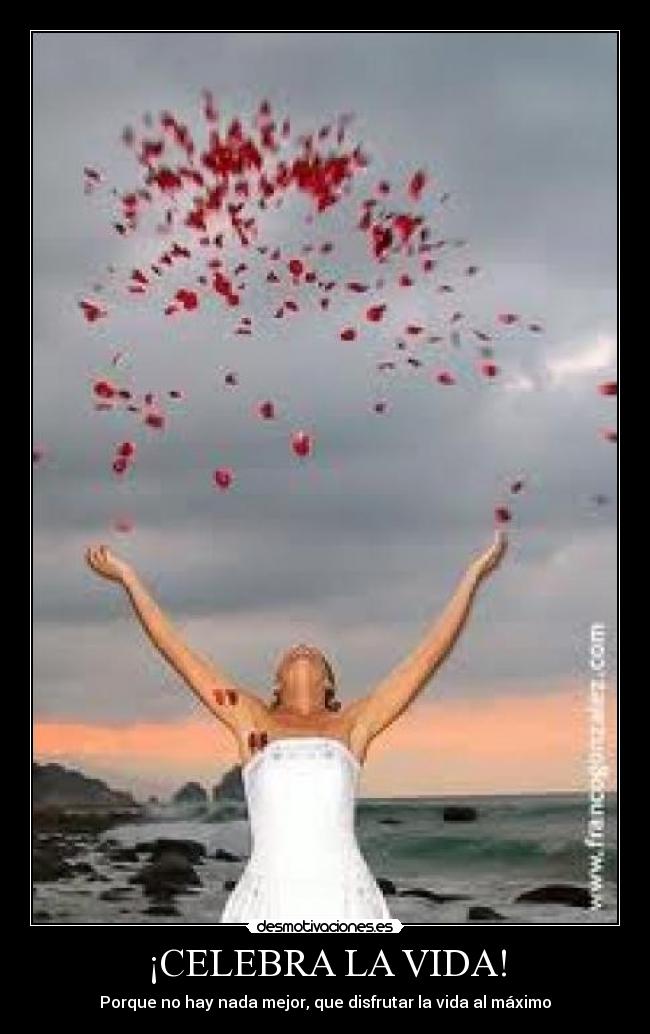 ¡CELEBRA LA VIDA! - Porque no hay nada mejor, que disfrutar la vida al máximo