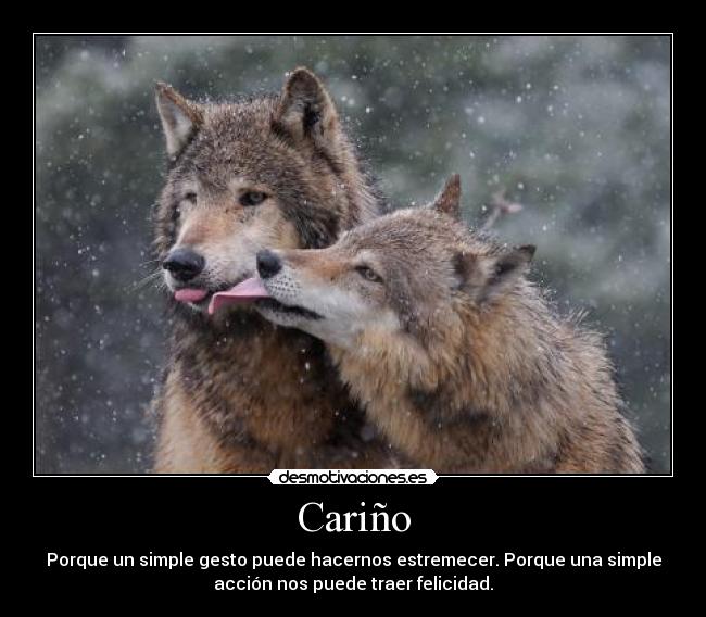 Cariño - 