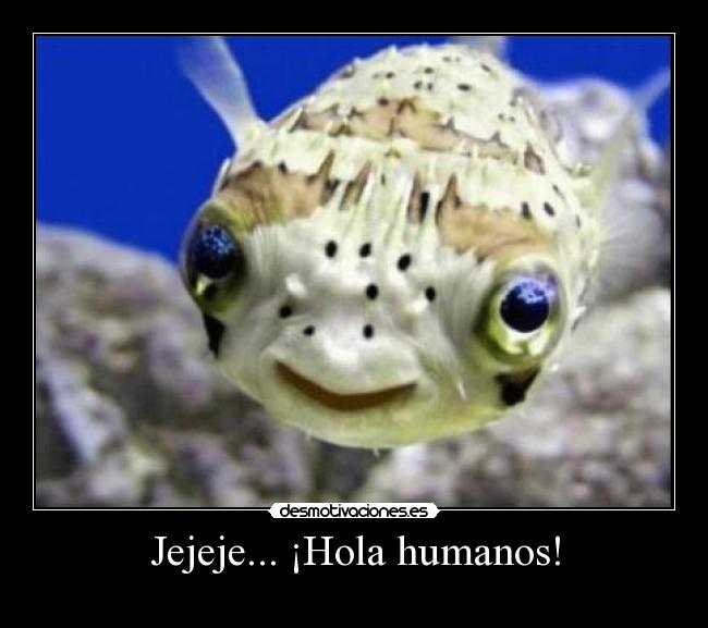 Jejeje... ¡Hola humanos! - 