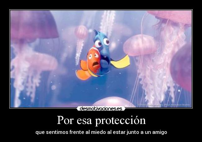 Por esa protección -