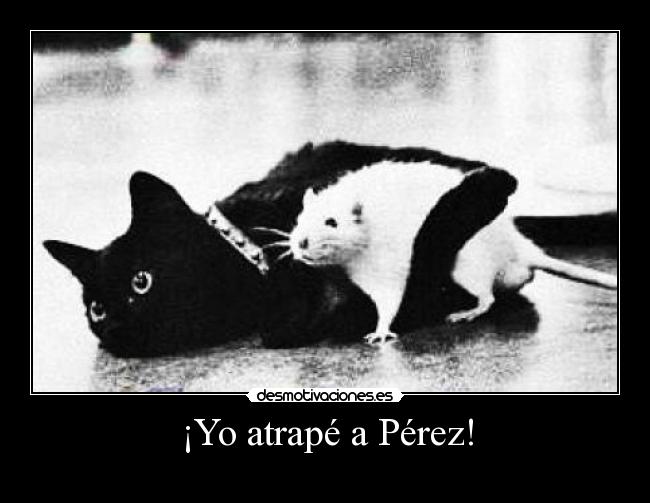 ¡Yo atrapé a Pérez! - 
