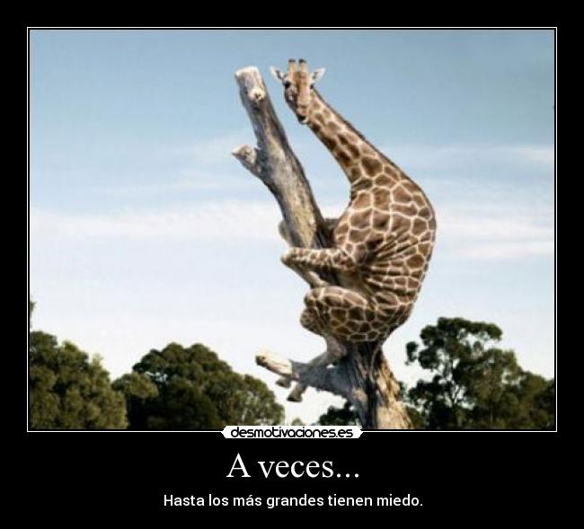 A veces... - Hasta los más grandes tienen miedo.