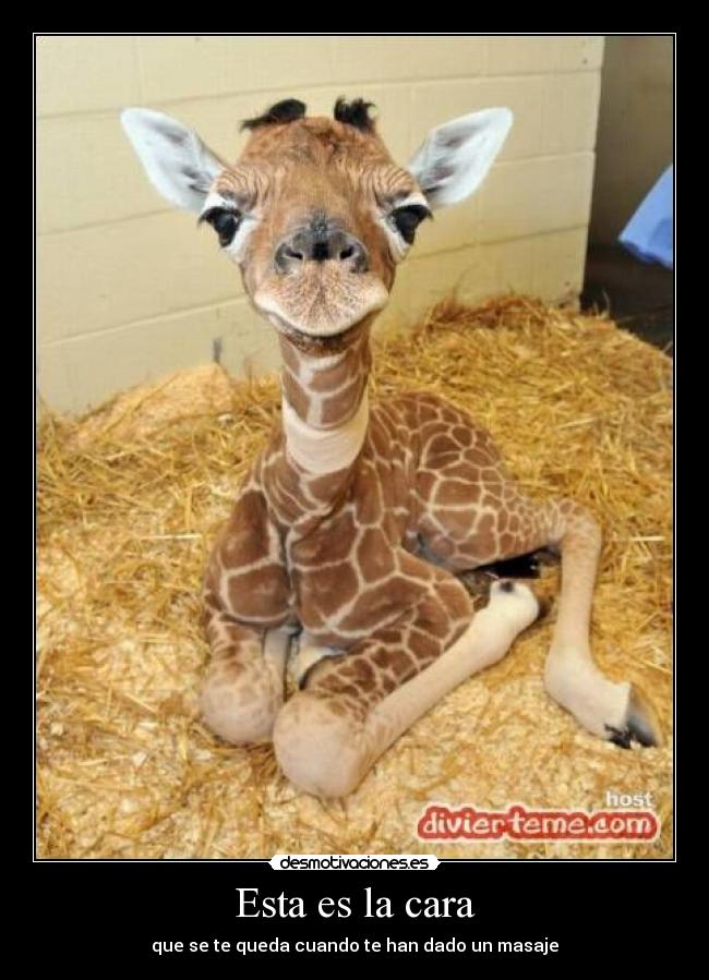 Esta es la cara - 