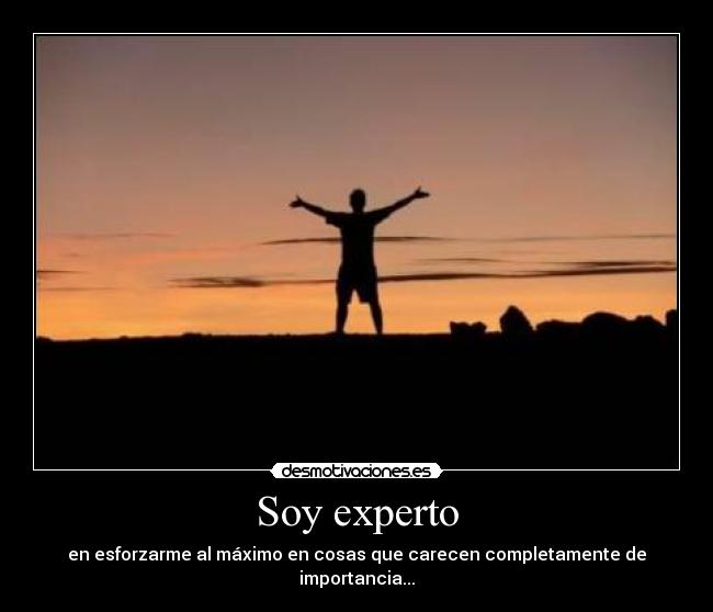 Soy experto - 