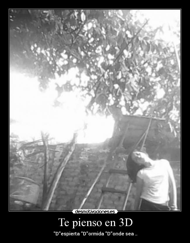Te pienso en 3D -