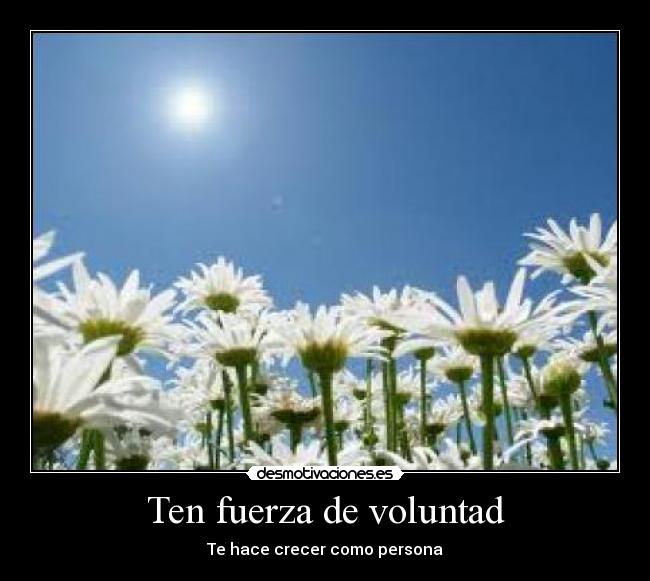 Ten fuerza de voluntad - 