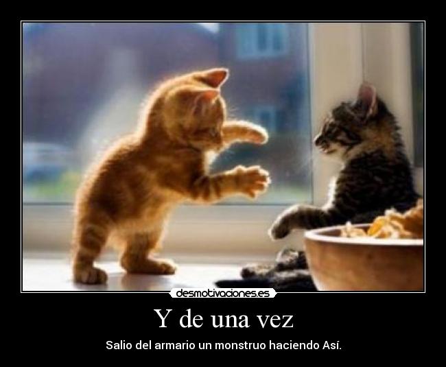 carteles gatitos desmotivaciones