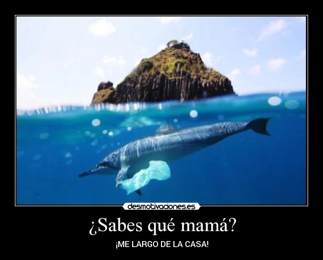 ¿Sabes qué mamá? - 