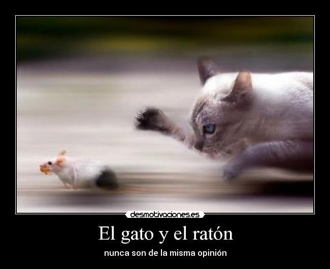 El gato y el ratón - nunca son de la misma opinión