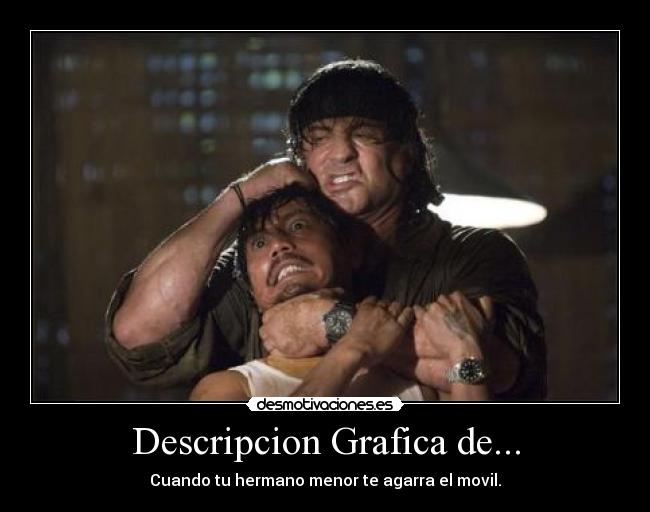 Descripcion Grafica de... -