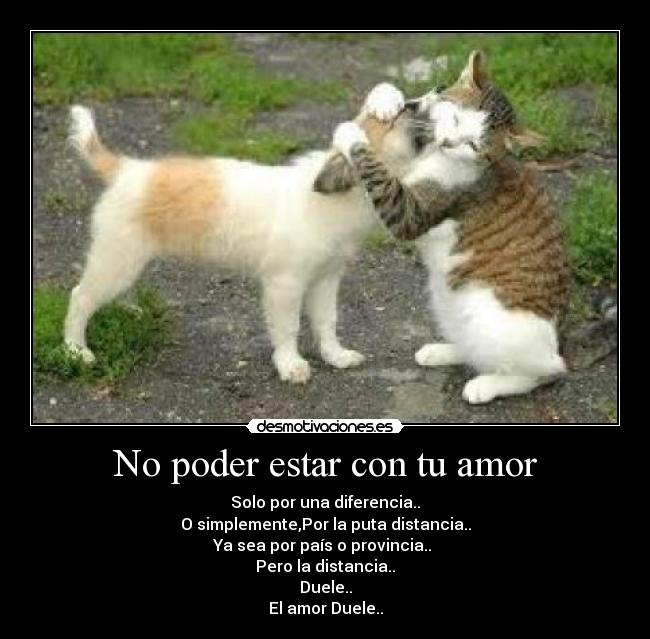 No poder estar con tu amor - Solo por una diferencia..
O simplemente,Por la puta distancia..
Ya sea por país o provincia.. 
Pero la distancia..
Duele..
El amor Duele..