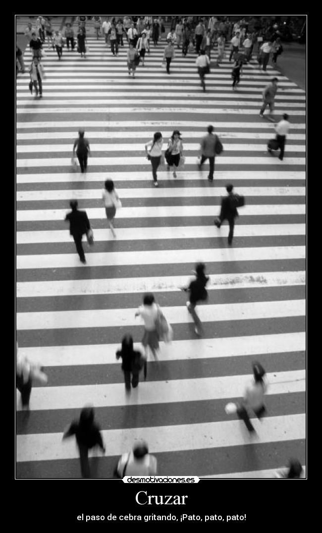 Cruzar - el paso de cebra gritando, ¡Pato, pato, pato!