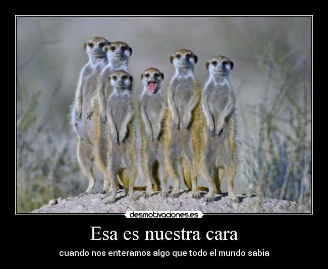 Esa es nuestra cara - cuando nos enteramos algo que todo el mundo sabia