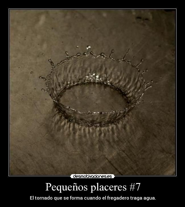 Pequeños placeres #7 - 