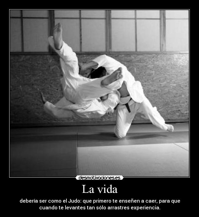 La vida - debería ser como el Judo: que primero te enseñen a caer, para que
cuando te levantes tan sólo arrastres experiencia.