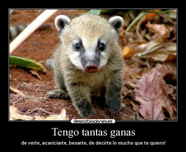 Tengo tantas ganas - de verte, acariciarte, besarte, de decirte lo mucho que te quiero!