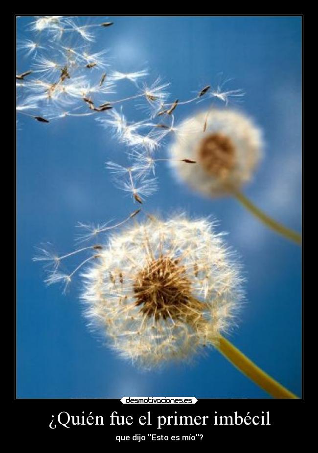 carteles propiedad existe nosotros inventamos desmotivaciones