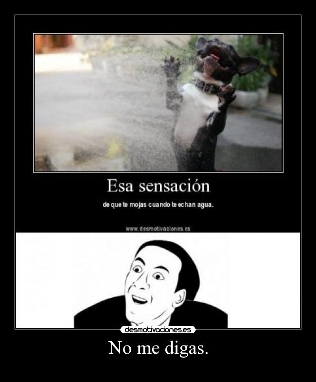 No me digas. -