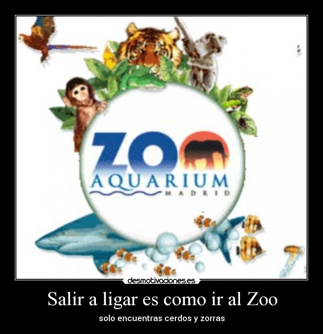 Salir a ligar es como ir al Zoo - solo encuentras cerdos y zorras