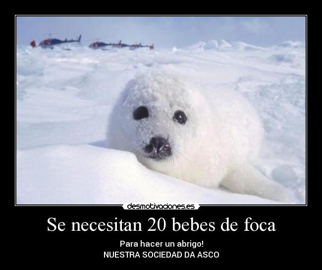 carteles necesitan bebes foca nayra desmotivaciones