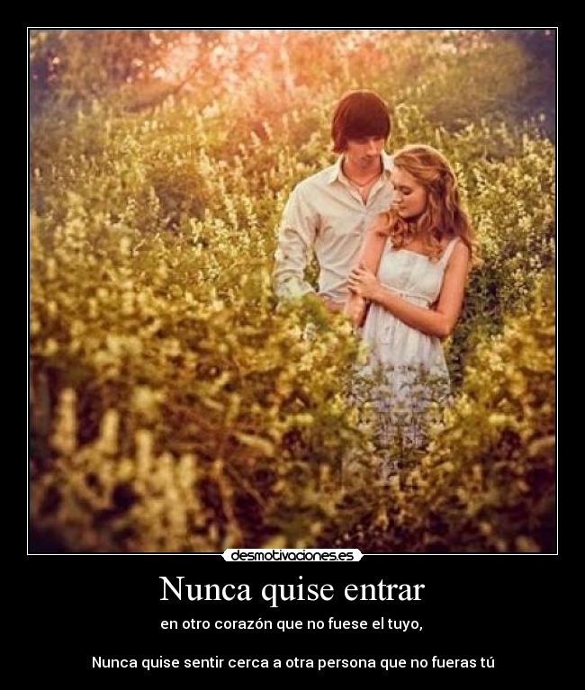 Nunca quise entrar - en otro corazón que no fuese el tuyo, 

Nunca quise sentir cerca a otra persona que no fueras tú