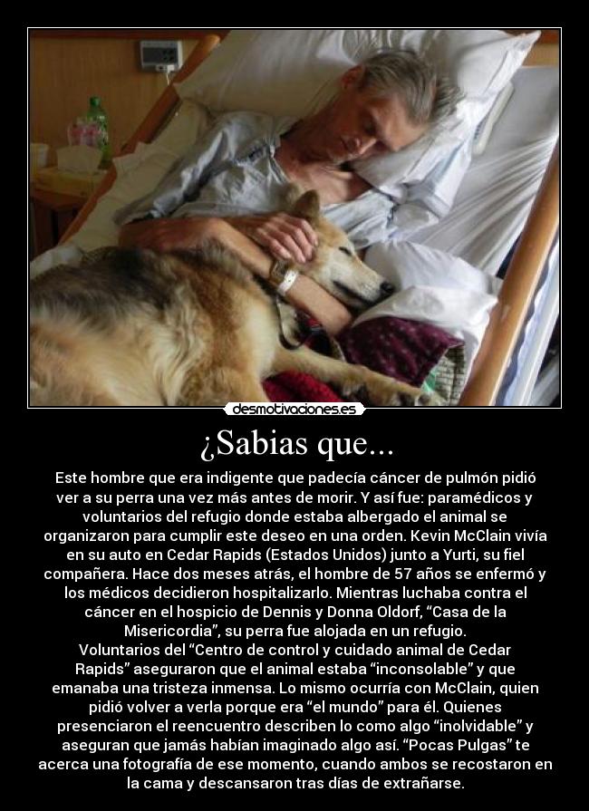 ¿Sabias que... -
