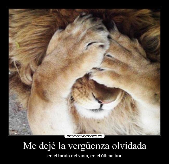 Me dejé la vergüenza olvidada - en el fondo del vaso, en el último bar.