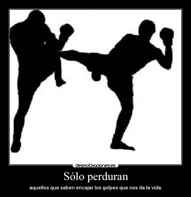 Sólo perduran - aquellos que saben encajar los golpes que nos da la vida.