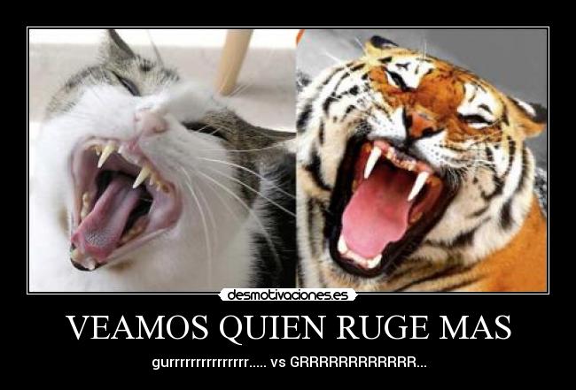 VEAMOS QUIEN RUGE MAS - gurrrrrrrrrrrrrrr..... vs GRRRRRRRRRRRR...