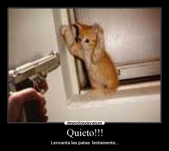 Quieto!!! - Lenvanta las patas  lentamente...