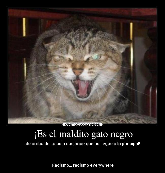 ¡Es el maldito gato negro - de arriba de La cola que hace que no llegue a la principal!



Racismo... racismo everywhere